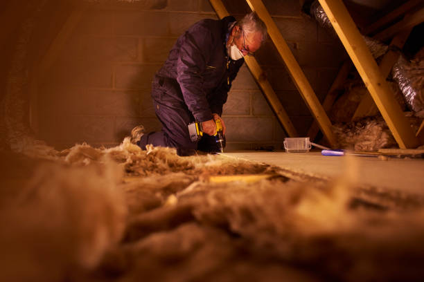 Best Specialty Insulation in Pelahatchie, MS